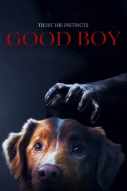 Good Boy
